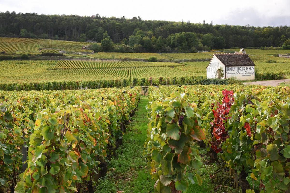 Le Richebourg - Charmant T2 Cosy, Tout Confort Gevrey-Chambertin Kültér fotó