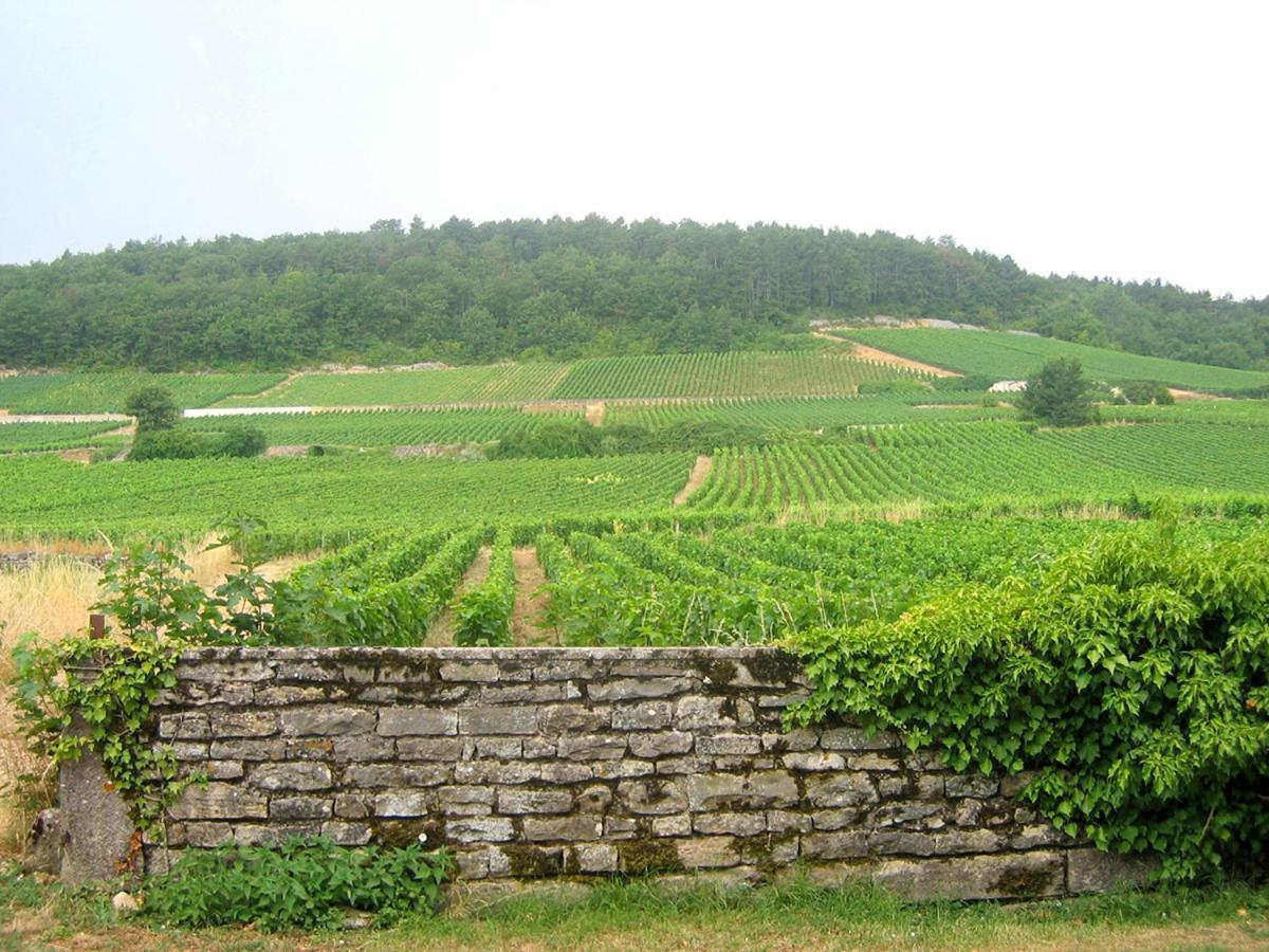 Le Richebourg - Charmant T2 Cosy, Tout Confort Gevrey-Chambertin Kültér fotó