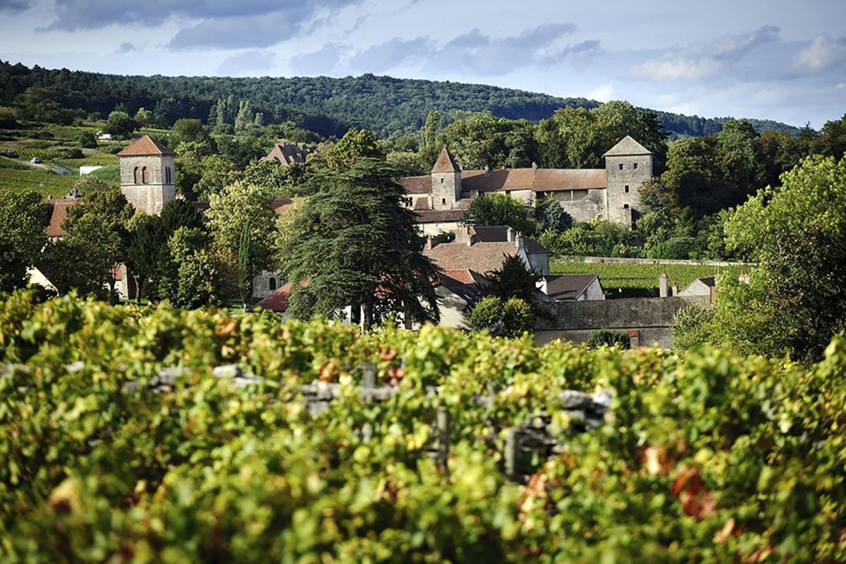 Le Richebourg - Charmant T2 Cosy, Tout Confort Gevrey-Chambertin Kültér fotó