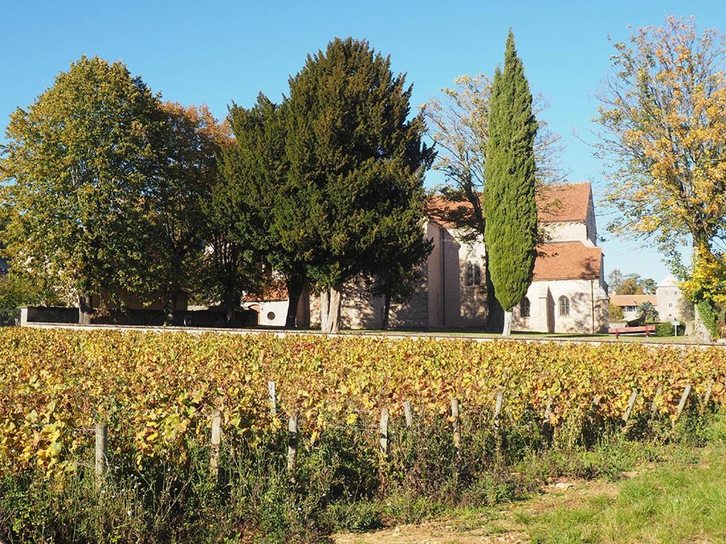 Le Richebourg - Charmant T2 Cosy, Tout Confort Gevrey-Chambertin Kültér fotó