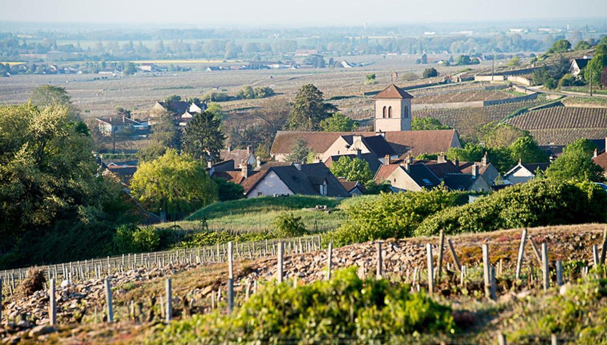 Le Richebourg - Charmant T2 Cosy, Tout Confort Gevrey-Chambertin Kültér fotó